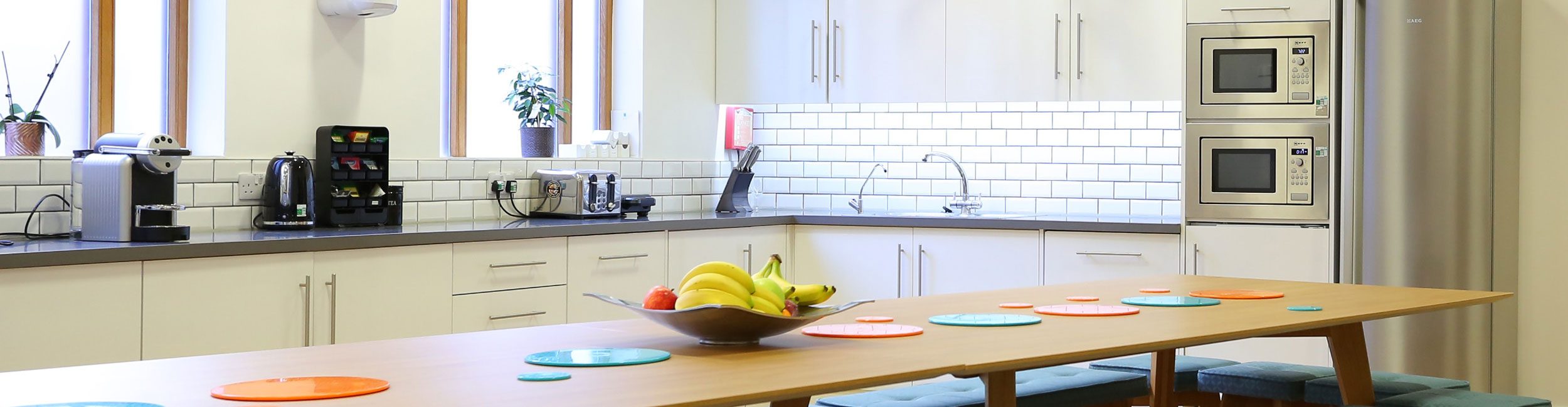 IMG_0073-mgps (Banner; 2500 x 650 px)