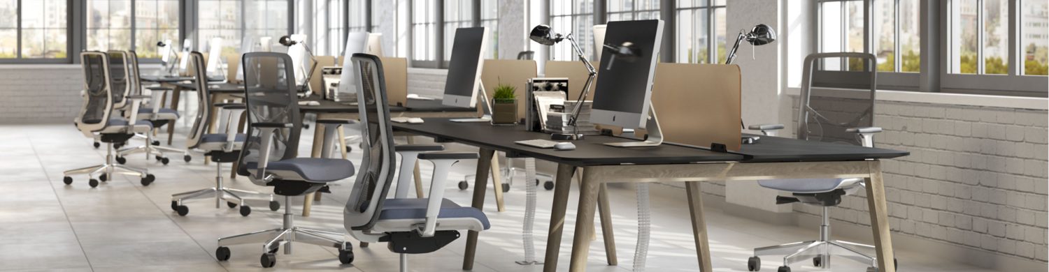 Narbutas-(Nova)-mgps1 (Banner; 2500 x 650 px)